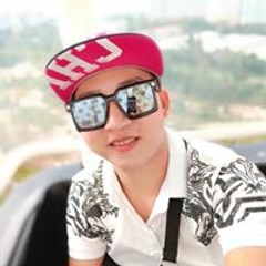 Trần Vẹt