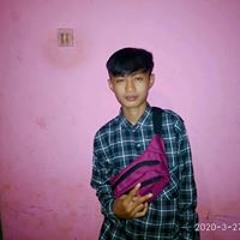 yogi