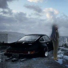 黒い怪鳥「yukina」