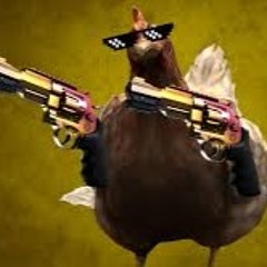 ChickenMaster69