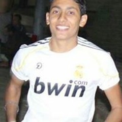 david