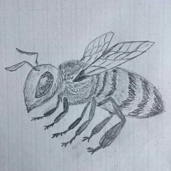 菅原光哉