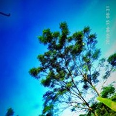 reyhan