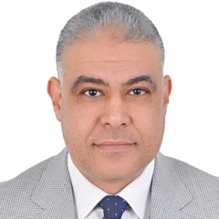 Mostafa Alhadidy