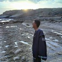 gull