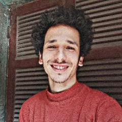 Mohamed Essam aldeen