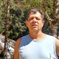Roberto Luiz da Silva