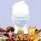 Thích Đủ Thứ