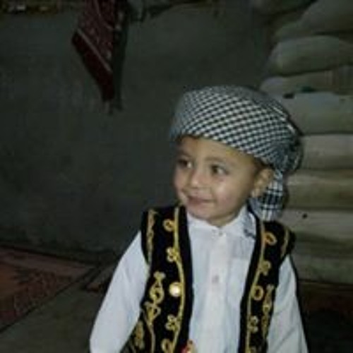 محمد عرفه’s avatar