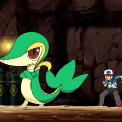 Snivy
