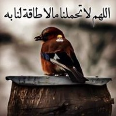 عفوك ورضاك