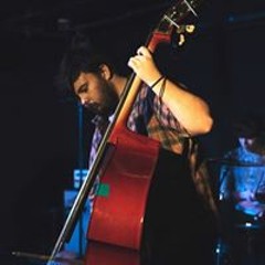 Bear Phillips-Pearce