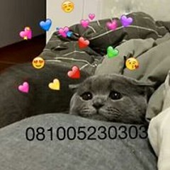 Cụ Xì Củn