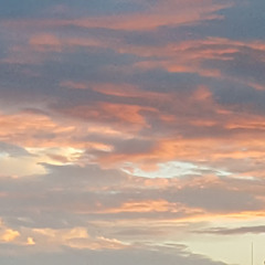 鹿のハツ食べたいマン