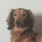 little_lenny