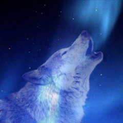 Artic Gaming