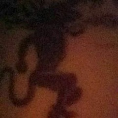 ksavage