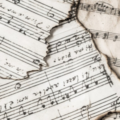 Kingdon Of The Music