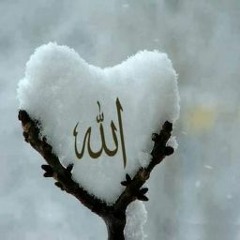 Esraa Waheed