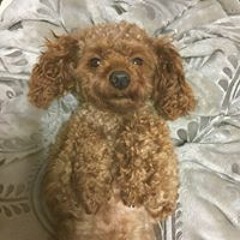 김유진