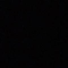 Trần Phạm Minh Trí