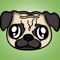 Haydo Dog