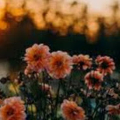 Mohd Syazrul Faiz Jabal