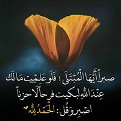 ايمن.فتحى ابوزيد