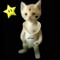 charles_low_quality