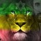 Nate IRIE