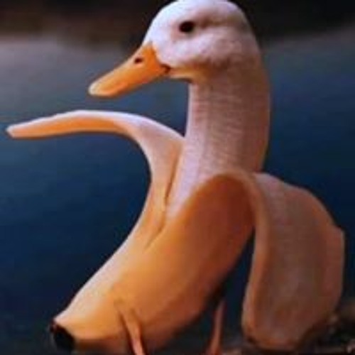 yeet man the duck’s avatar