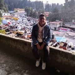 D.Sebastian Dominguez.H