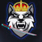 kingkiller 1234