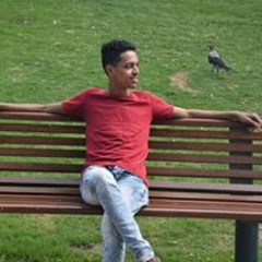 Essam seif