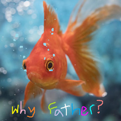 A Crying Goldfish