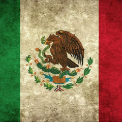 Mexican Jay