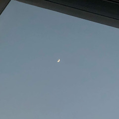 다를Dareul