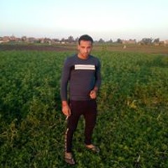 أحمد أبو على