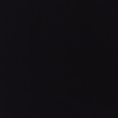 신동준