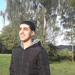 Anas Abdulsamei