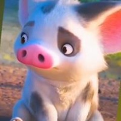 Dương Dương Dõ Duy