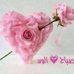 سالي محمد ابوزهرة