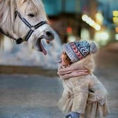 حسين اليافعي