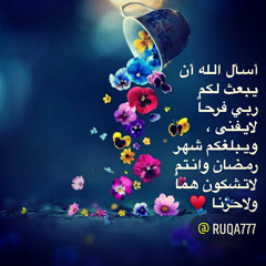 User 459602181