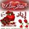 Eyad Mohamed