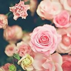 User 211044906