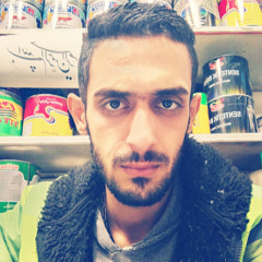 Mohsen Chegini
