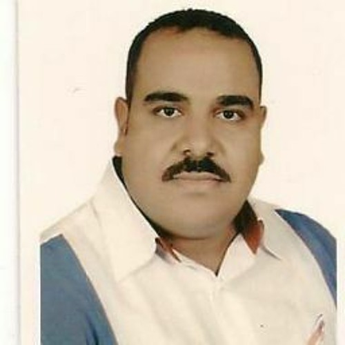 Omar Fouad’s avatar