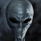 User 29240141