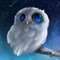 Winter The Owl